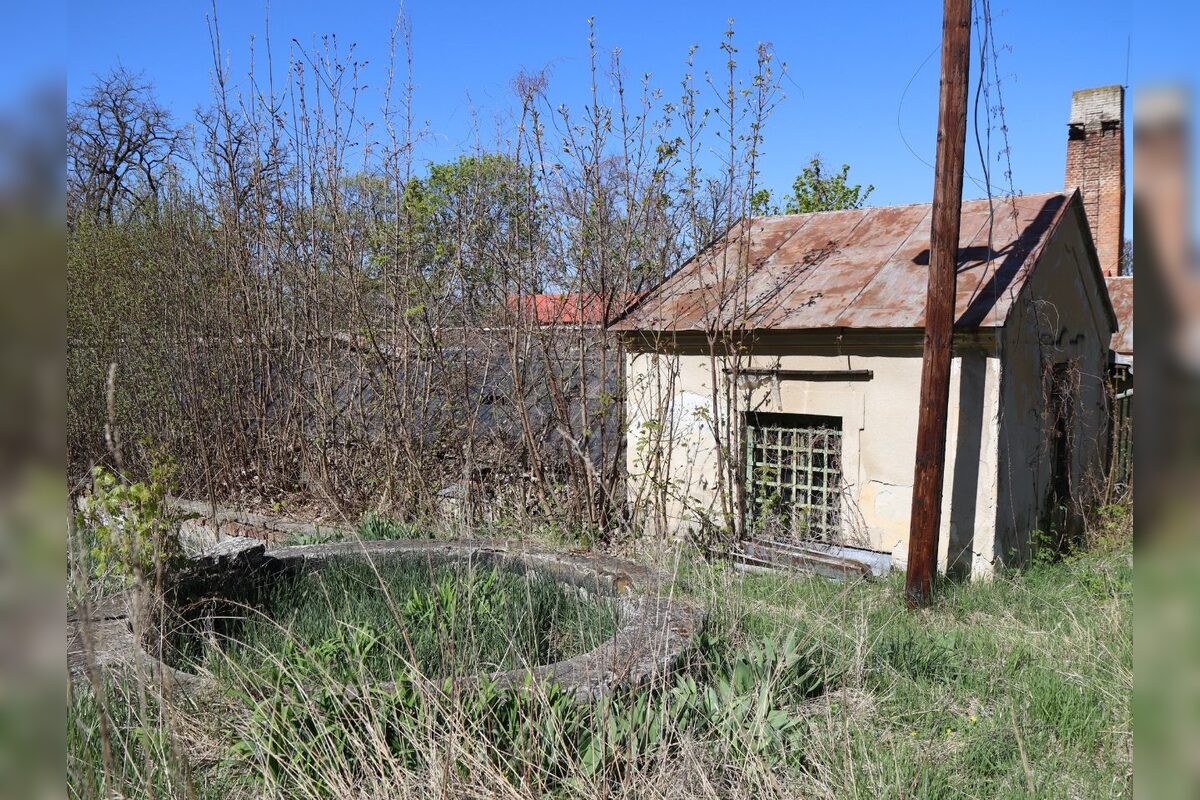 FOTO: Historické skleníky v Zámockej záhrade v Hlohovci môžu zachrániť dobrovoľníci, foto 1