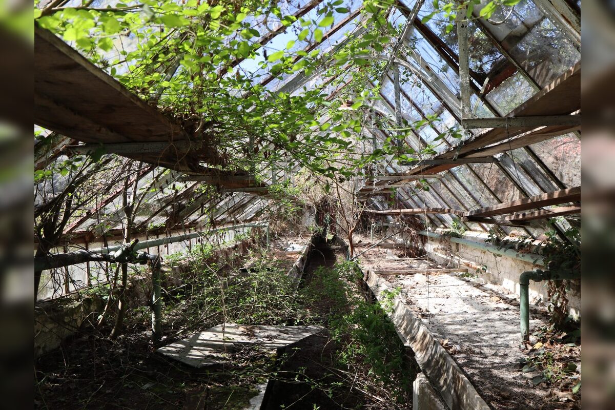 FOTO: Historické skleníky v Zámockej záhrade v Hlohovci môžu zachrániť dobrovoľníci, foto 2