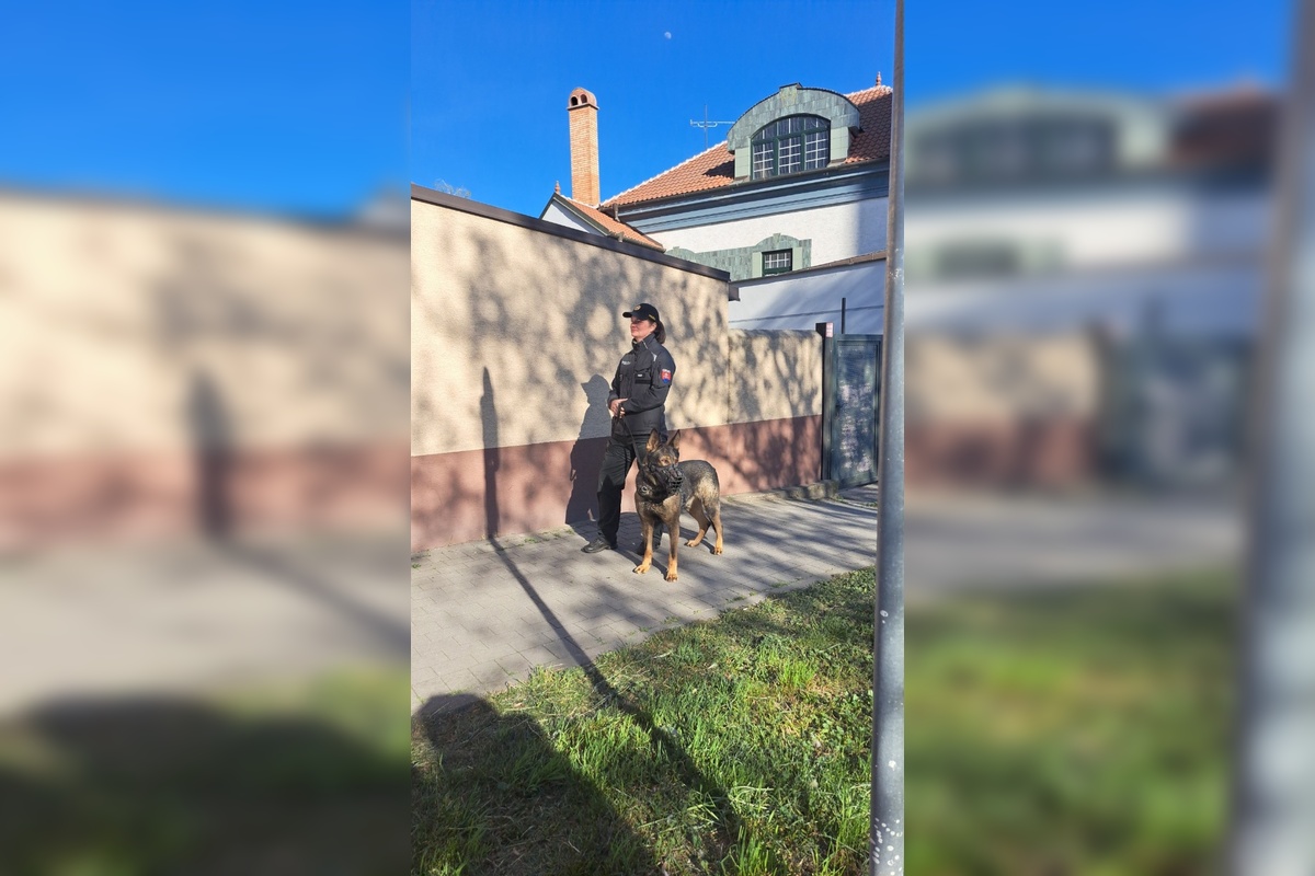 FOTO: Na derby v Trnave to vrelo. Horiace šály, dym na tribúnach a masívne policajné manévre, foto 8