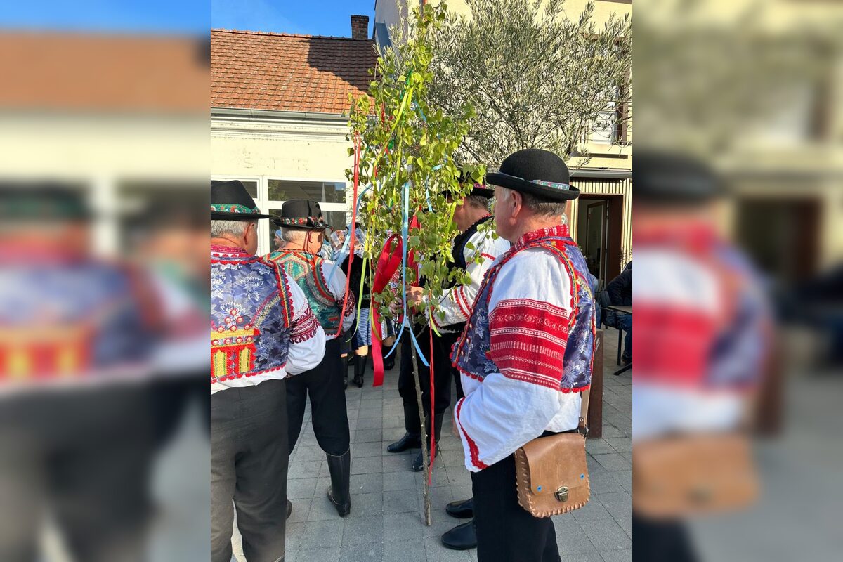 FOTO: Takto vyzeralo stavanie májov v Trnavskom kraji, foto 26