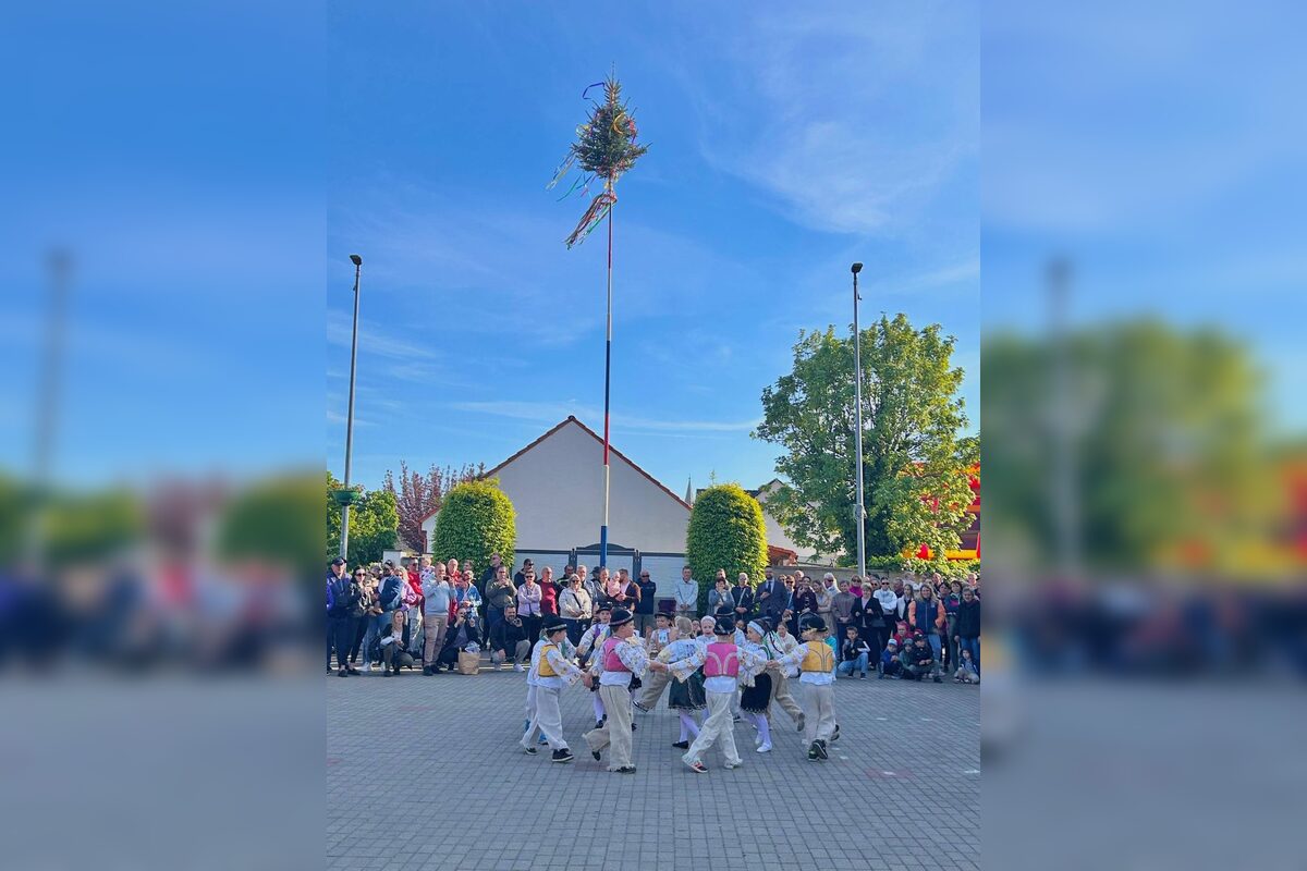 FOTO: Takto vyzeralo stavanie májov v Trnavskom kraji, foto 39