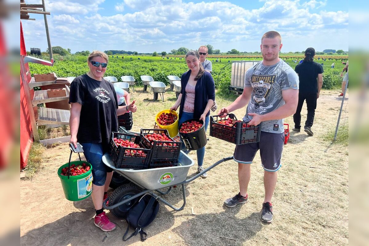 FOTO: Tieto sladké plody môžete mať čoskoro doma, foto 3