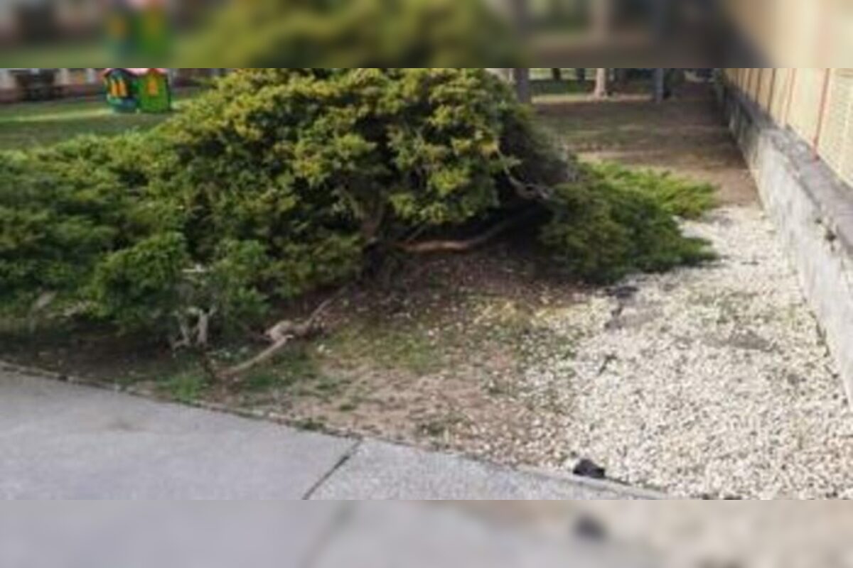 FOTO: Projekty, ktoré sa uchádzajú o hlasy občanov, foto 15