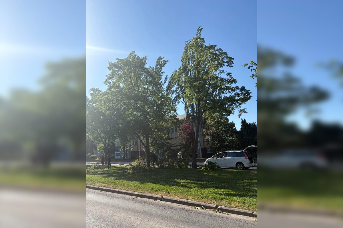 FOTO: Pozrite sa, ako to vyzeralo po vyčínaní počasia v Trnave, foto 1