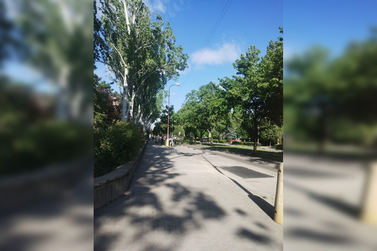 FOTO: Pozrite sa, ako to vyzeralo po vyčínaní počasia v Trnave, foto 4