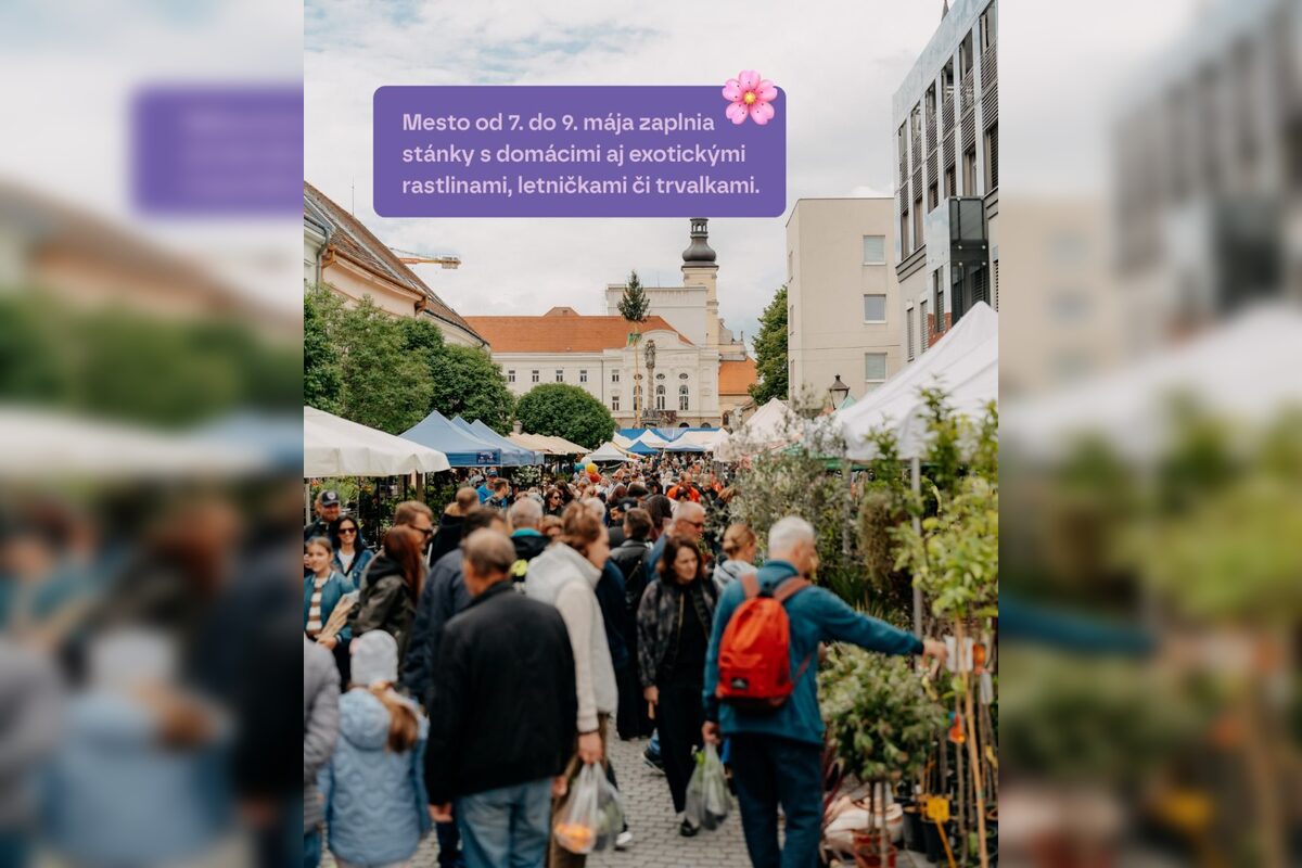 FOTO: Májový kvet v Trnave , foto 8