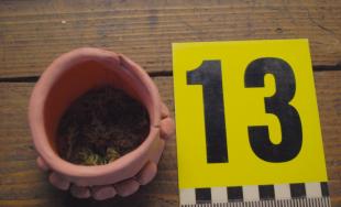 Polícia našla drogy v Jalšovom, pri prehliadke zaistili metamfetamín a konope v hodnote cez 2 tisíc