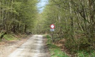 V CKO sú motorky a autá zakázané, trnavskí policajti v Malých Karpatoch zadržali až 10 vodičov