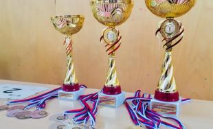 V 8 odvetviach si zmeralo sily viac ako 1 000 žiakov z 35 škôl TTSK na 12. Župnej olympiáde