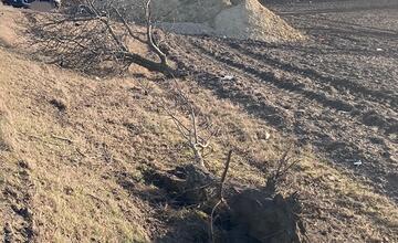 FOTO: Tragická dopravná nehoda pri Mierove