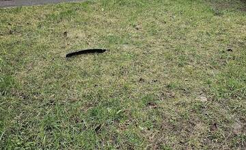 FOTO: Trnavčanovi páchateľ zdemoloval auto. Z miesta nehody ušiel