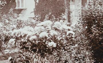 FOTO: Ako žili obyvatelia historickej Trnavy?