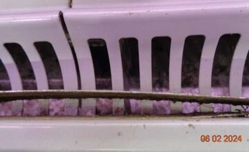 FOTO: Pleseň, exkrementy od hlodavcov aj potraviny po záruke. Toto sú najčastejšie nedostatky prevádzok