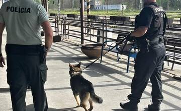 FOTO: Medzinárodná kontrola železníc započala aj v Trnavskom kraji