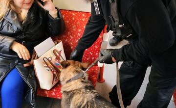 FOTO: Medzinárodná kontrola železníc započala aj v Trnavskom kraji