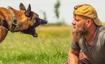 FOTO: Policajný zbor kúpi od chovateľov psy do výkonu služby