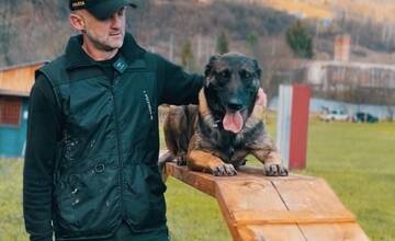 FOTO: Policajný zbor kúpi od chovateľov psy do výkonu služby