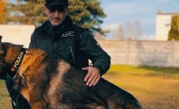 FOTO: Policajný zbor kúpi od chovateľov psy do výkonu služby