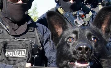 FOTO: Policajný zbor kúpi od chovateľov psy do výkonu služby