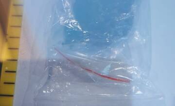 FOTO: Pri domovej prehliadke našli u 27-ročného muža zbrane, náboje a pervitín