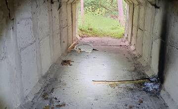 FOTO: Po nezvestnom Milanovi pátrali v povodí Moravy drony aj termokamera