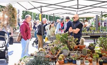 FOTO: Májový kvet 2024