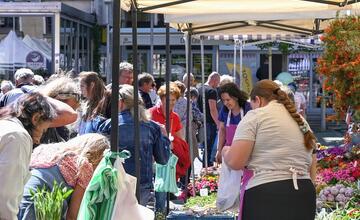 FOTO: Májový kvet 2024