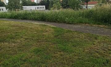 FOTO: Trnavčanka upozornila na vysokú trávu v meste