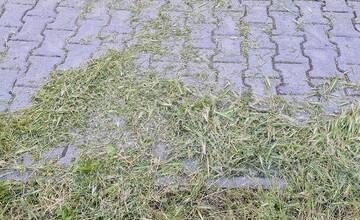 FOTO: Pokosené ale neupratané v Piešťanoch