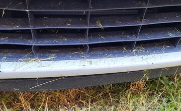 FOTO: Pokosené ale neupratané v Piešťanoch