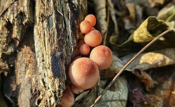 FOTO: Jesenný Majdán