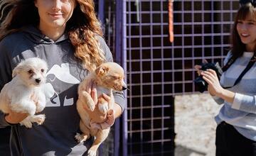 FOTO: Deň v breznianskom útulku Tuláčik