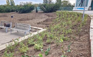 FOTO: V Piešťanoch je rušno aj v jeseni. Kde všade prebiehajú rekonštrukcie?