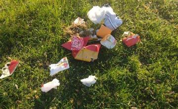 FOTO: Z Trnavy zmizli suché a poškodené stromy, opadané lístie a odpadky 