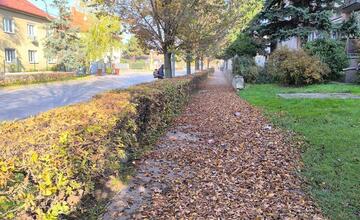 FOTO: Z Trnavy zmizli suché a poškodené stromy, opadané lístie a odpadky 