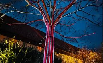 FOTO: Svetlo Noci Vianočnej 2024