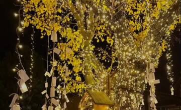 FOTO: Svetlo Noci Vianočnej 2024