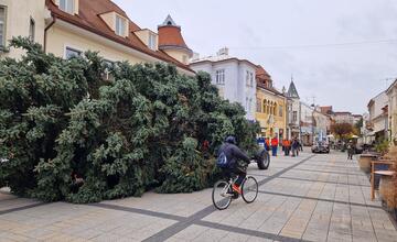 FOTO: Už aj Piešťany majú nový vianočný stromček. Kedy ho rozsviestia?