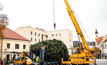 FOTO: Nový vianočný stromček už priviezli do Trnavy. Pozrite si, ako vyzerá