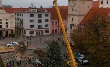FOTO: Nový vianočný stromček už priviezli do Trnavy. Pozrite si, ako vyzerá