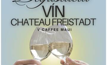 FOTO: Víkendy plný podujatí v Hlohovci