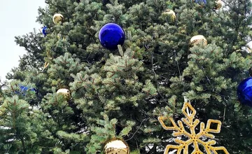 FOTO: Nový vianočný stromček v Trnave