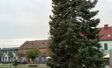 FOTO: Už aj mesto Sereď má svoj vianočný stromček