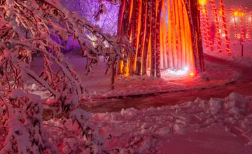 FOTO: Včelárska záhrada pod Smolenickým zámkom