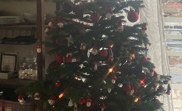 FOTO: Vianočné stromčeky našich čitateľov