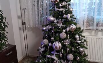 FOTO: Vianočné stromčeky našich čitateľov