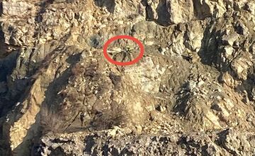 FOTO: Dobrovoľní hasiči zachránili psíka v núdzi