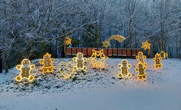 FOTO: Medovníčkovo v Dolnej Krupej