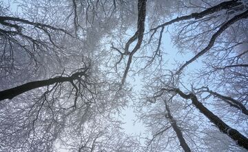 FOTO: Zasnežené Malé Karpaty očami Trnavčanov