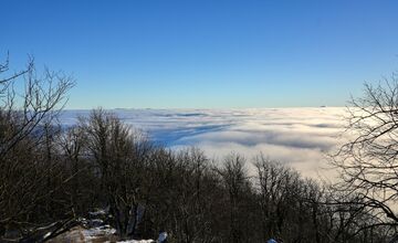 FOTO: Zasnežené Malé Karpaty očami Trnavčanov